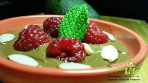 avochoco-pudding-closeup